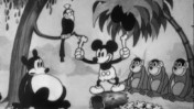 Jungle Rhythm mickey mouse cartoon